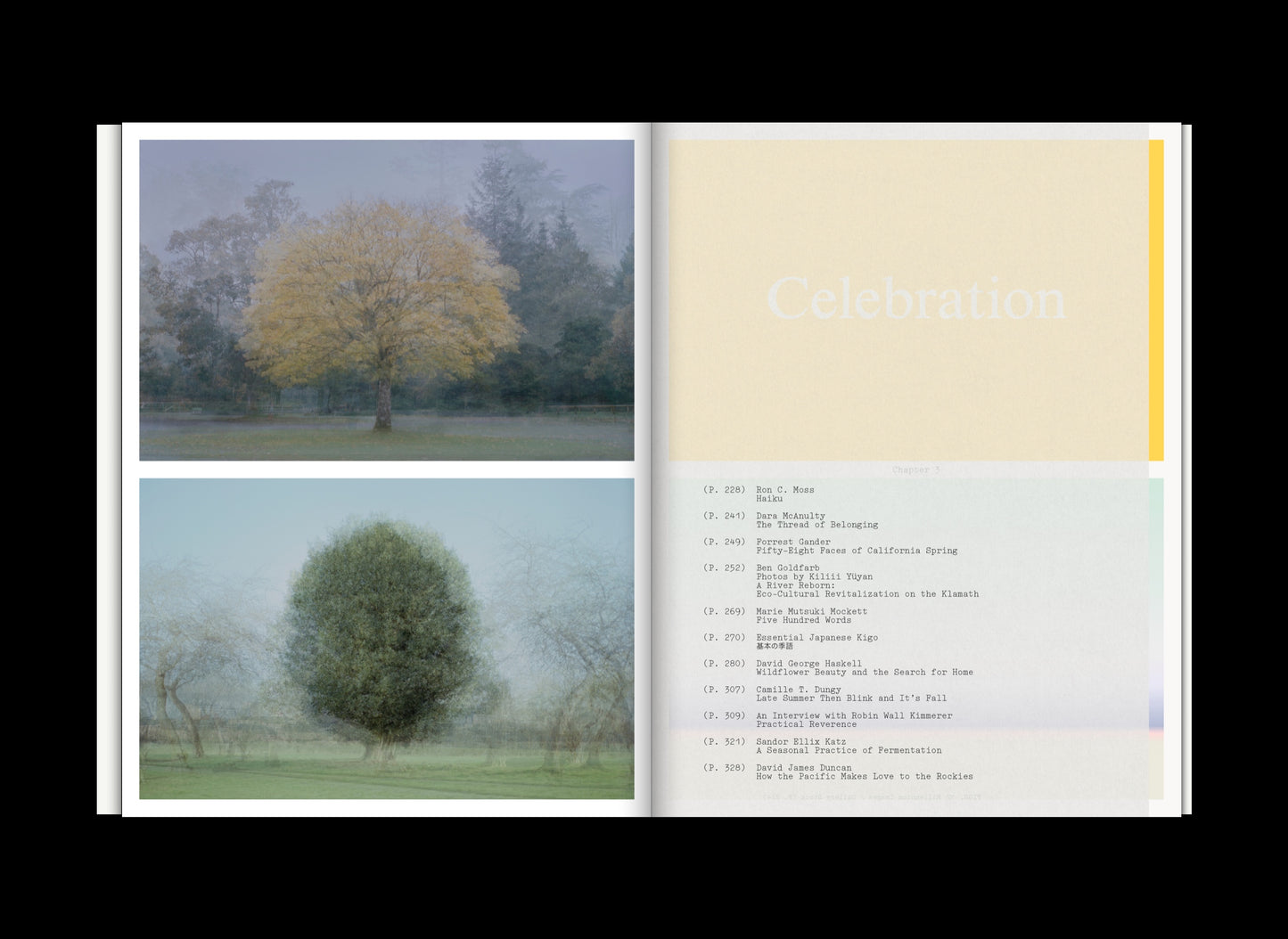 PRE-ORDER Volume 6: Seasons