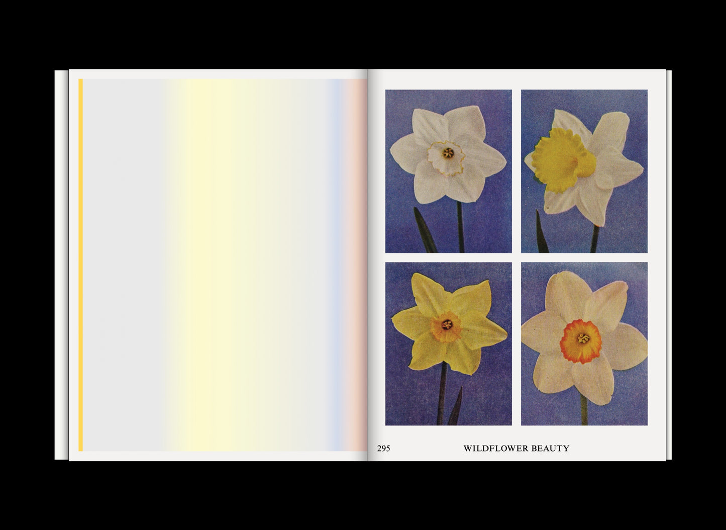 PRE-ORDER Volume 6: Seasons & Requiem, Invitation, and Celebration: A Collection of Seasonal Practices