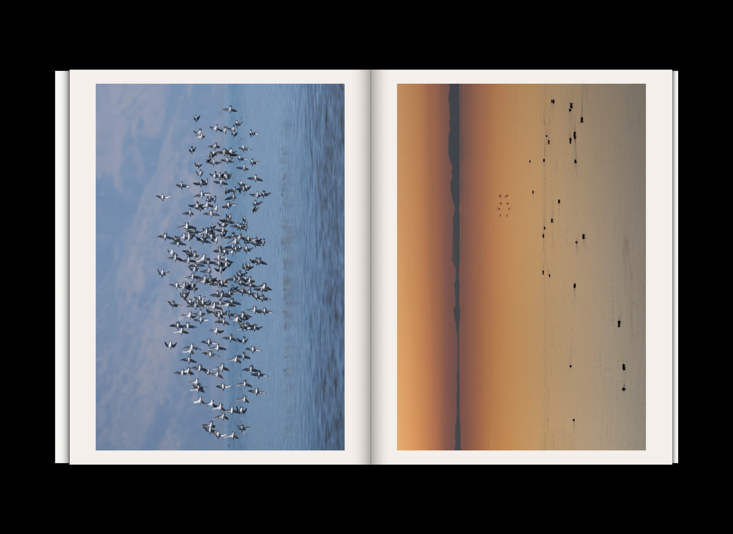 PRE-ORDER Volume 6: Seasons