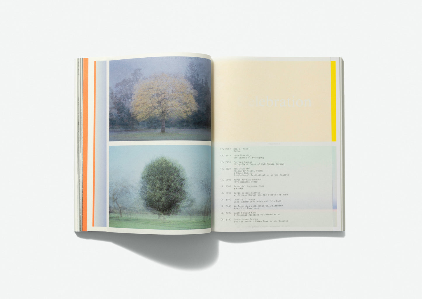 PRE-ORDER Volume 6: Seasons