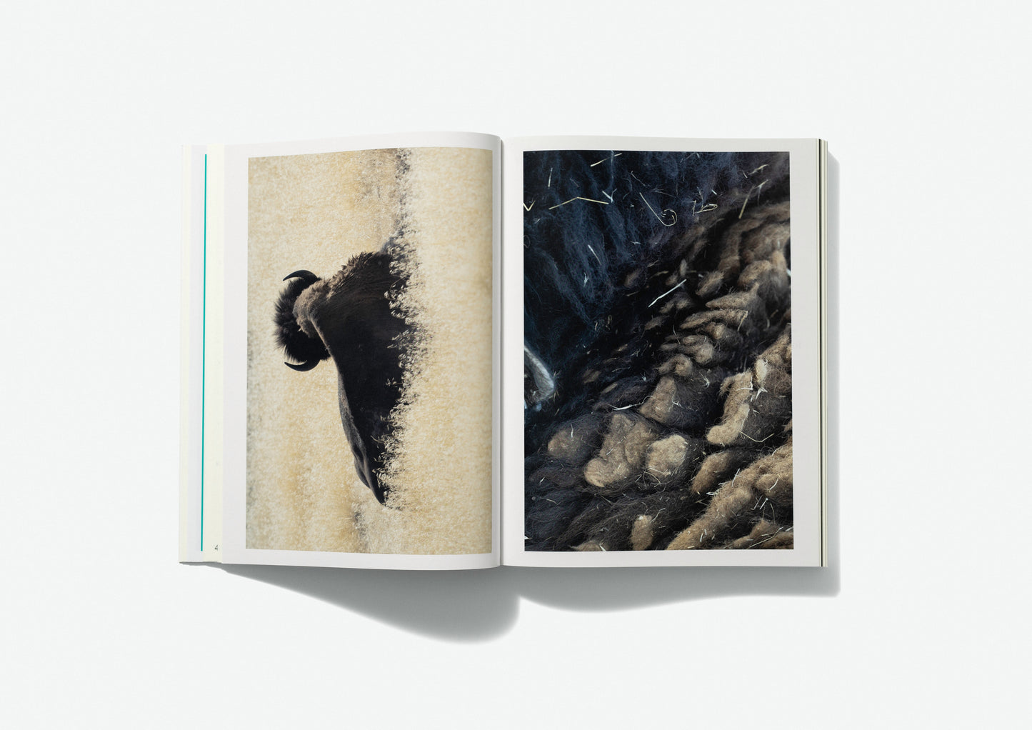 PRE-ORDER Volume 6: Seasons