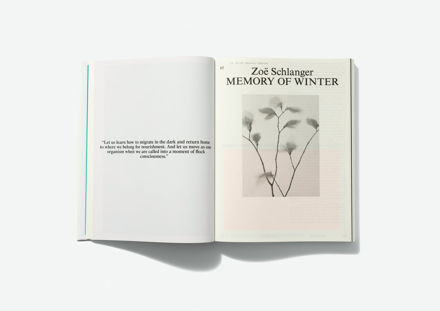 PRE-ORDER Volume 6: Seasons