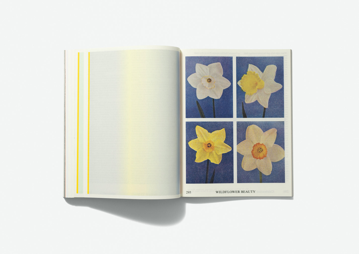 PRE-ORDER Volume 6: Seasons & Requiem, Invitation, and Celebration: A Collection of Seasonal Practices