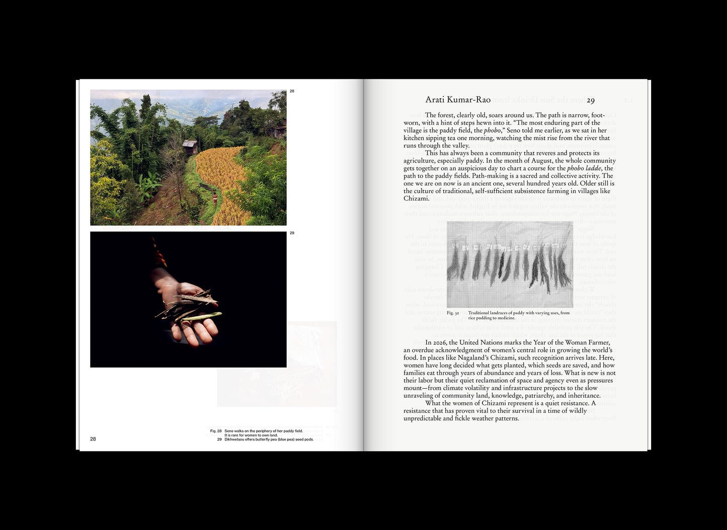 Pre-Order Volume 7: Seeds and Structures