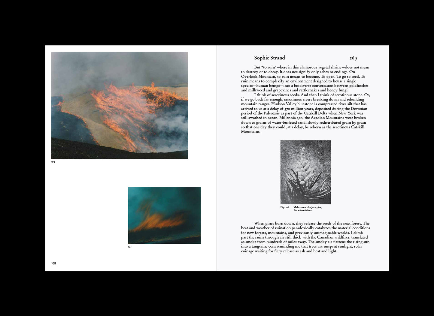 Pre-Order Volume 7: Seeds and Structures