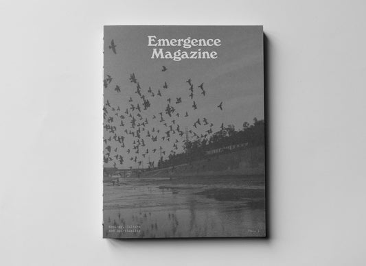 Emergence Magazine Volume 1